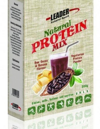 Leader Natural Sport Protein Mix Raakakaakao-banaani 500 g POISTOTUOTE